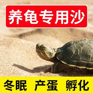 椰土天然棉花沙乌龟过冬沙子冬眠产蛋孵化专用鱼缸细腻爬宠沙垫材