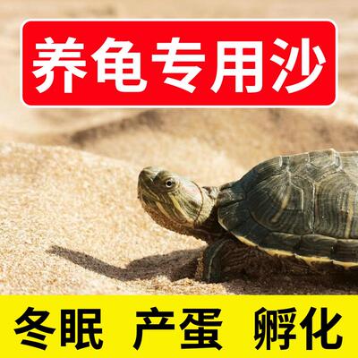 乌龟冬眠用品专用沙子爬宠