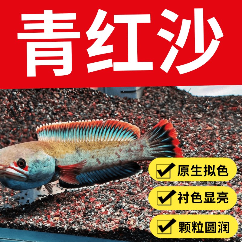 免洗青红沙偏暗灰青沙青灰红沙雷龙专用原生鱼缸造景沙雷龙底沙灰