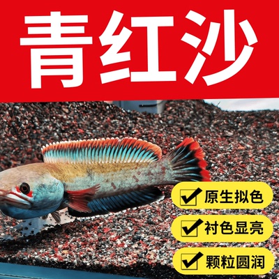 免洗青红沙偏暗灰青沙青灰红沙雷龙专用原生鱼缸造景沙雷龙底沙灰