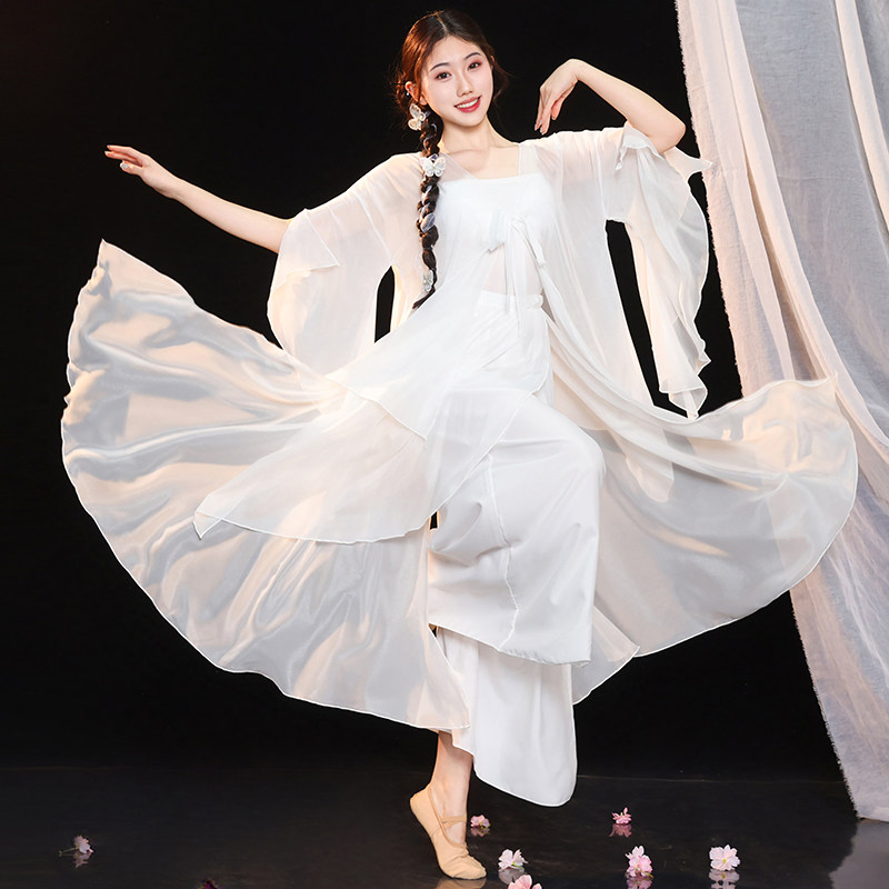 古典舞蹈服女飘逸大袖衫纱衣白色古风仙气裙裤中国舞艺考演出服