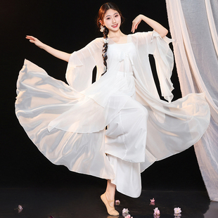 中国舞艺考演出服 纱衣白色古风仙气裙裤 古典舞蹈服女飘逸大袖 衫