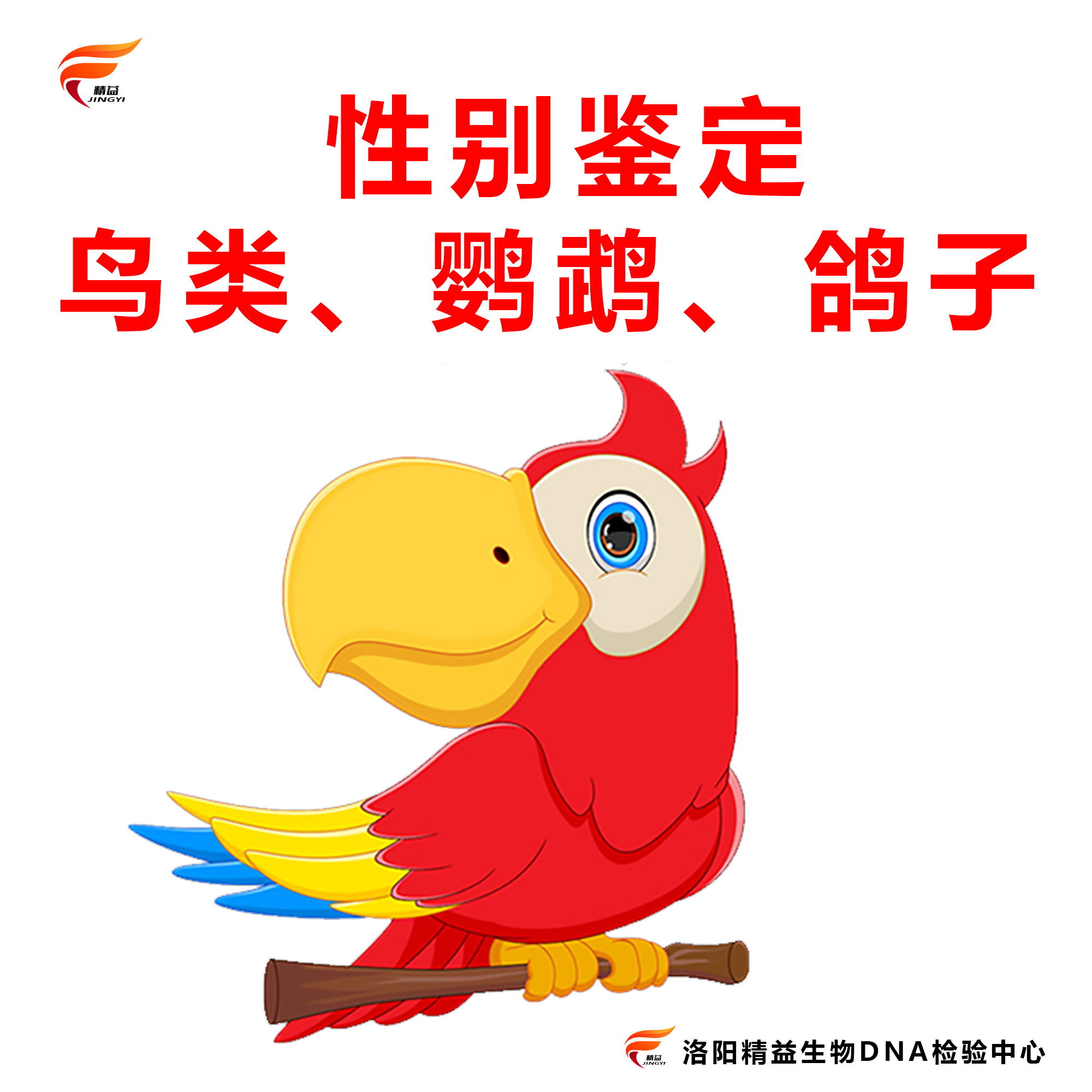鹦鹉验卡性别鉴定检测鸽子牡丹玄风小太阳和尚鸟公母检验DNA无卡