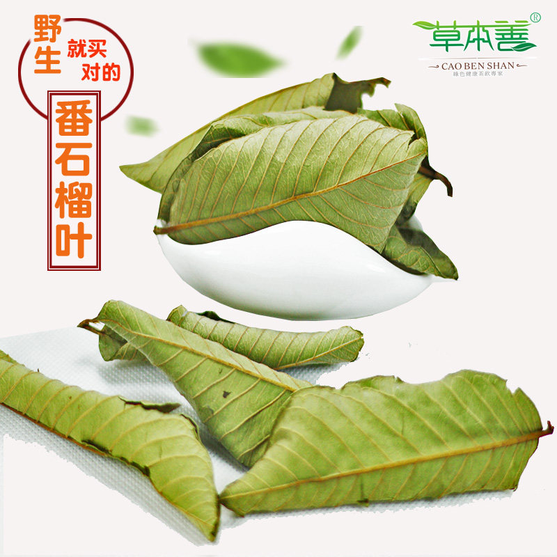 草本善正品野生番石榴叶番石榴 芭乐叶番桃叶清糖茶石榴叶清糖叶