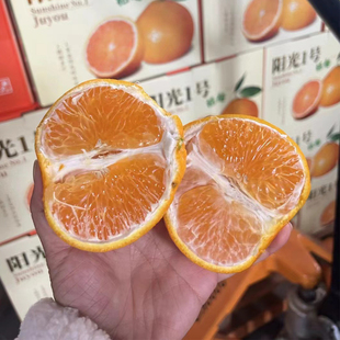 湖南怀化阳光一号甜心桔柚高山新鲜水果纯甜橘柚小柚子礼盒装