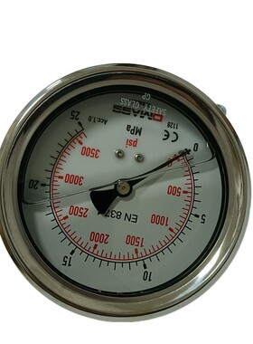 压力表DMASS德玛仕EN837-1MBB10U-250-1-Z-Z-Z 100盘 轴向25MPA