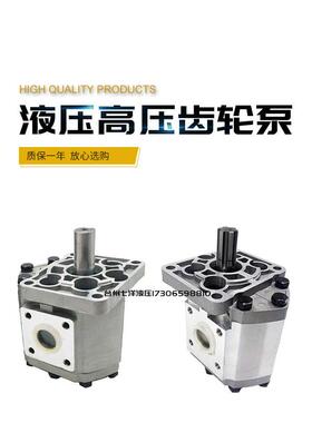 液压高压齿轮泵CBN-F532 CBN-F563 CBN-F525 CBN-F580 CBN-F550