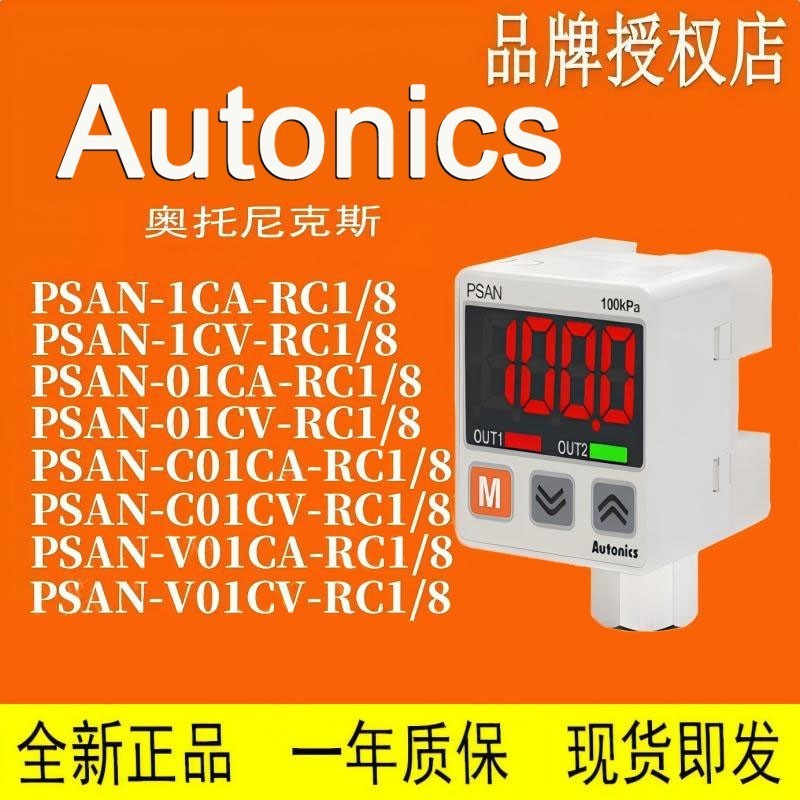 PSAN-V01CV-C01CA-C01CV-01CA-01CV-1CA-1CV-RC1/8 PSO-B02-P01