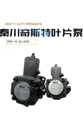 QCIST秦川奇斯特VVP20B/55 VVP30B/55 VVP40B/70油泵变量叶片泵