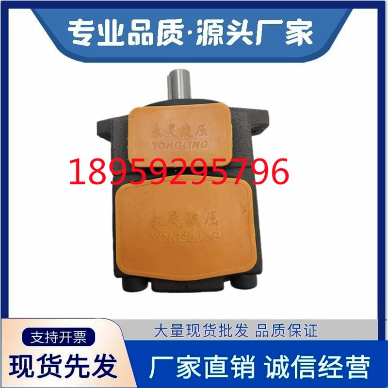 永灵液压泵YLC PV2R2-41F1 47 53 59 65 70 79 85 RAF1叶片泵油泵