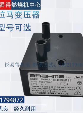 布拉玛BRAHMA点火变压器TD1STPAFTC1LVCS 1*15KV TD2STPAF2*10KV