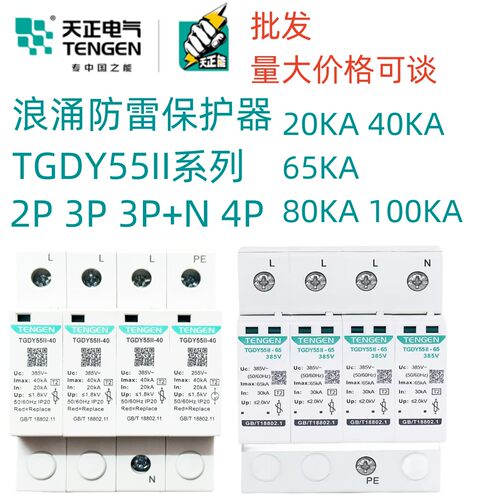 天正TGDY55II浪涌电涌保护器防雷避雷器2P4P20KA40KA65KA二级385V