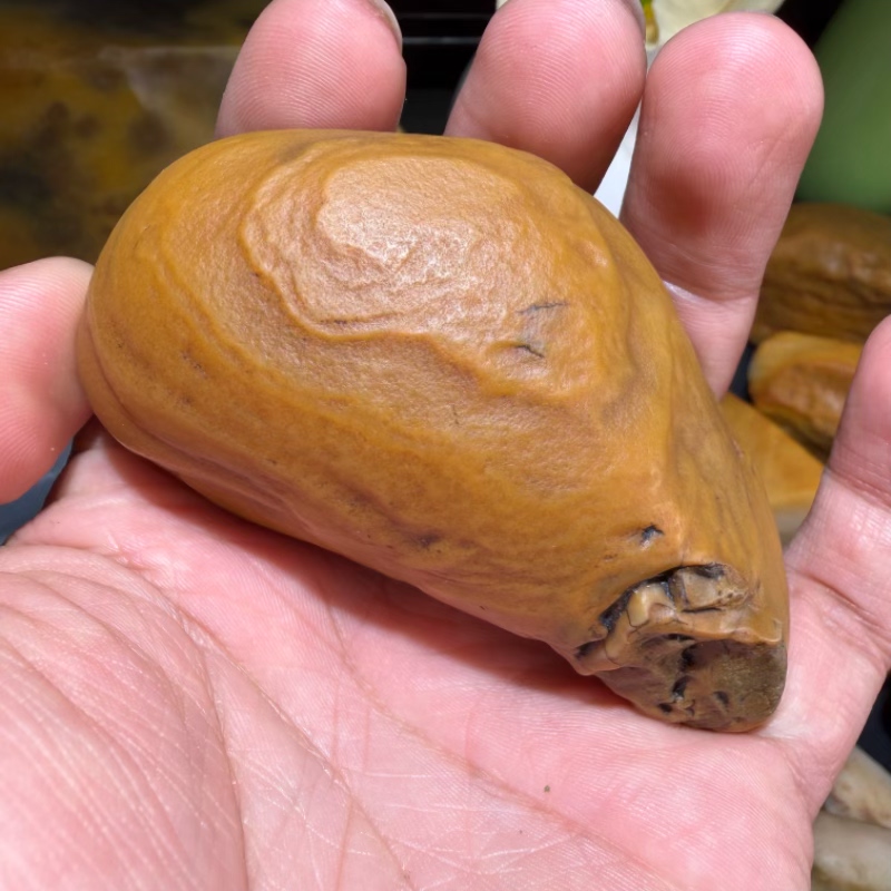 新疆杜热地表籽料象形奇石鸡腿冻光沙漠漆原石把玩件重180克精品