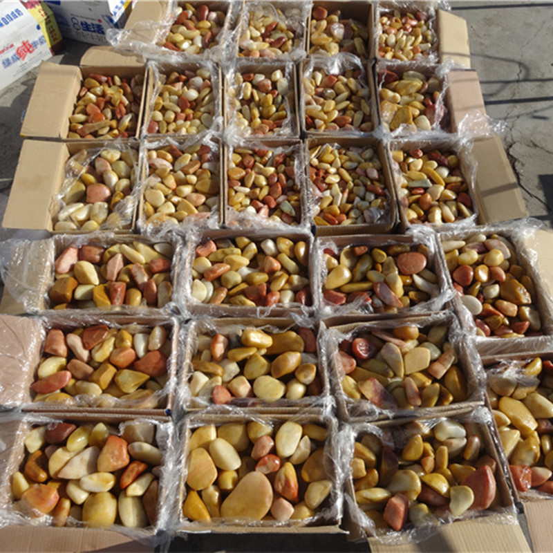 爆款新疆克拉玛依乌尔禾金丝玉原石60斤包邮戈壁玉彩玉宝石光籽料