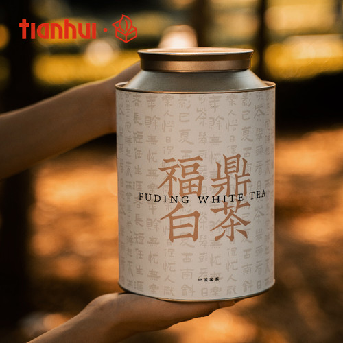 天汇包装福鼎老白茶茶叶罐大号