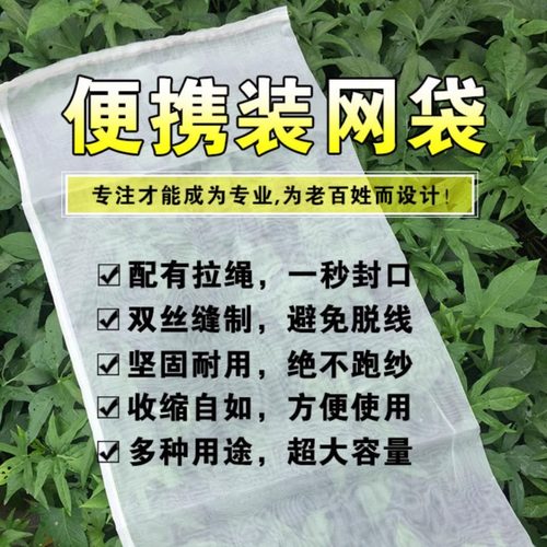 育种网袋茶青专用网袋装蛇袋网