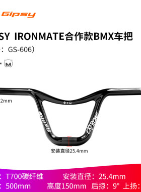 GIPSYIronMate合作款BMX碳车把