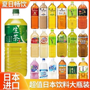现货 日本超大瓶麒麟生茶2L可尔必思原味乳酸菌/午后红茶奶茶1.5L