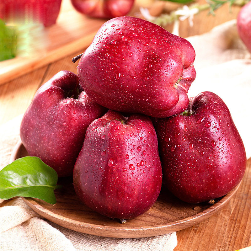 甘肃天水花牛苹果礼盒装应季新鲜水果甜糯多汁大红苹果天水特产苹