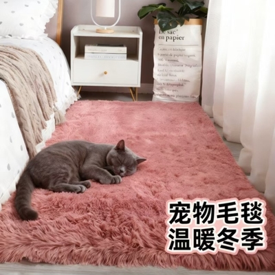 宠物专用毛毯防撕咬狗猫咪垫子睡觉用冬加厚毛绒防滑定制地毯