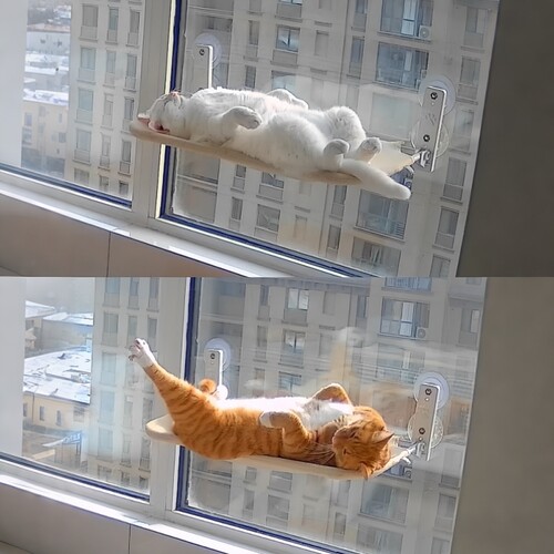 【晒太阳小吊床】吸盘式猫窝免打孔落地窗解闷自嗨睡觉床猫爬架