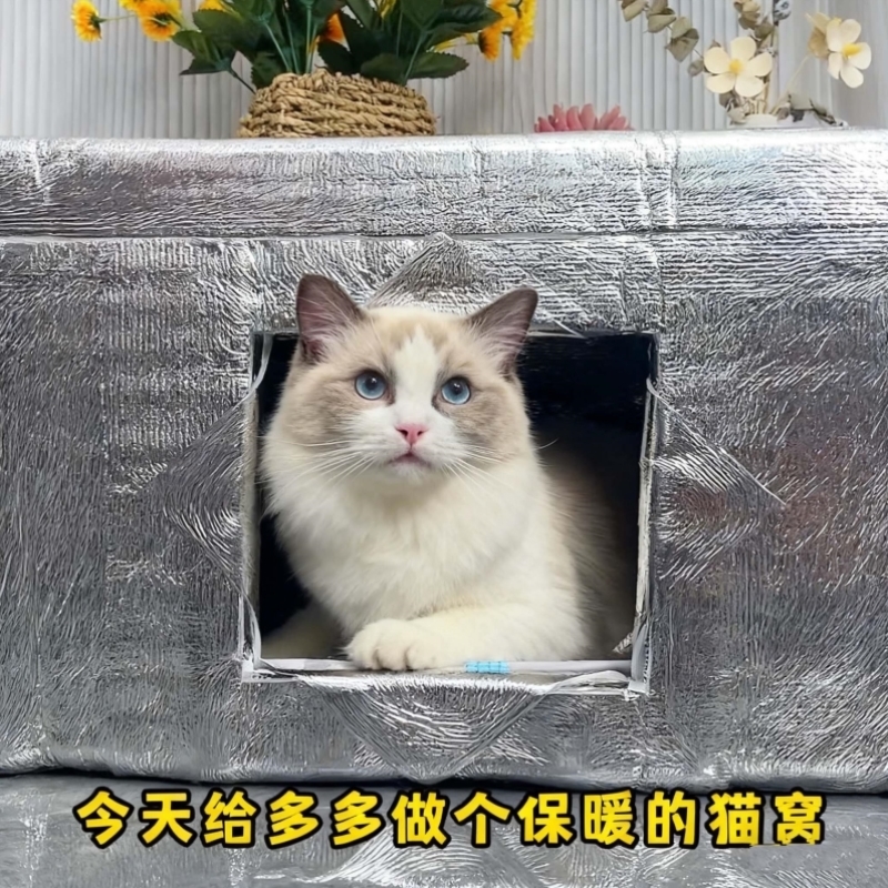 泡沫箱猫屋狗窝室户外防水冬季保暖自制保温铝箔锡纸自粘贴纸材料