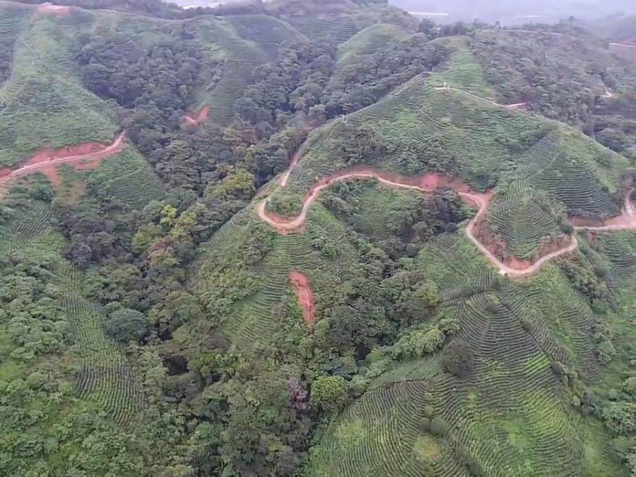 变卖广西亿健生态产业有限公司名下位于昭平县五将镇平水村67.49公顷（1012.39亩）森林资源