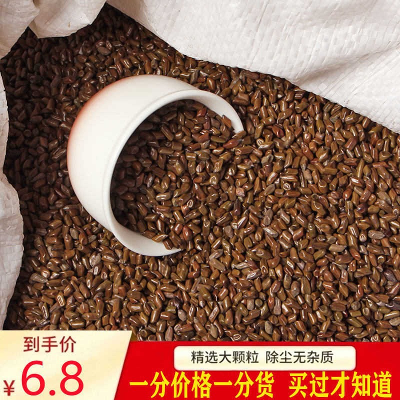 进口生决明子特级大颗粒干净免洗枕头填充儿童玩具沙婴儿枕头枕芯