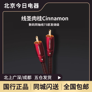 audioquest/线圣肉桂Cinnamon数码同轴线75欧发烧级数码AQ音频线