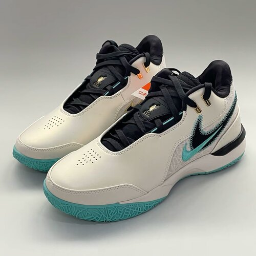 耐克/Nike Zoom LeBron NXXT詹姆斯实战缓震耐磨篮球鞋FJ1567-101