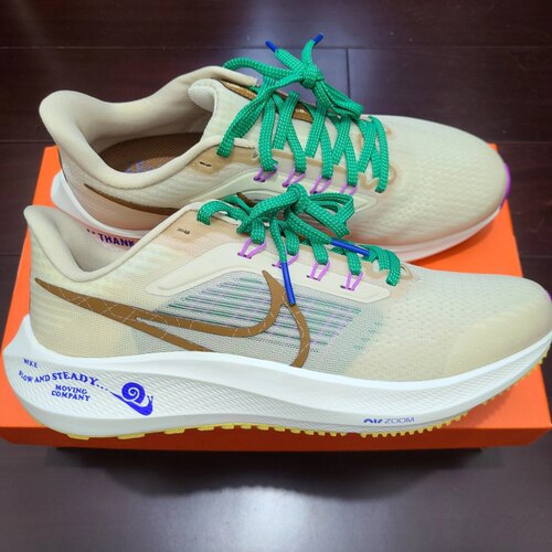 Nike Air Zoom Pegasus 39男款白色低帮休闲训练跑步鞋DV8922-100