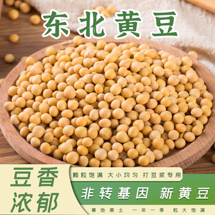 黑龙江东北非转基因新黄豆农家自种大豆生豆芽打豆浆专用豆子尝鲜