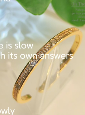 欧美ins风满天星手镯两排钻微镶满钻不掉色钛钢手镯女时尚饰品