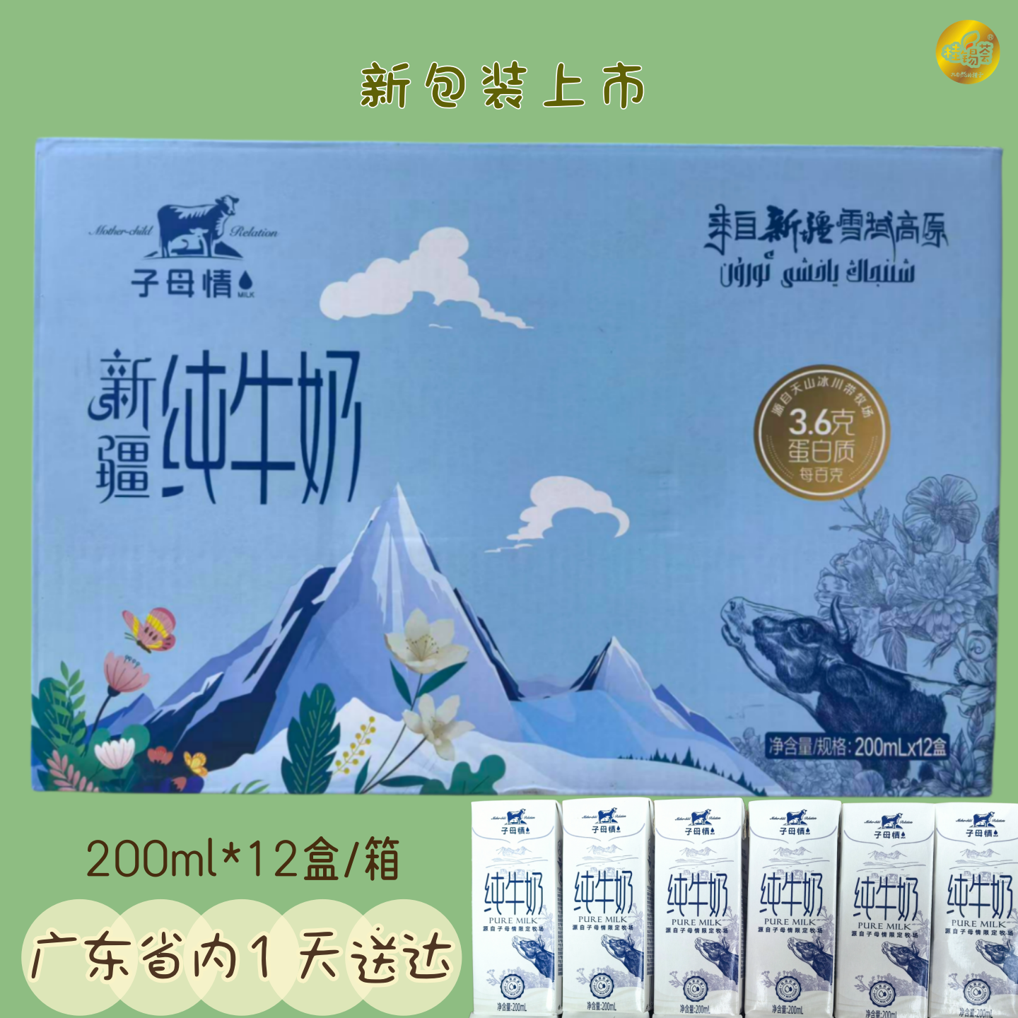 新疆子母情纯牛奶12盒整箱生牛乳香醇甘甜儿童学生营养早餐奶广东