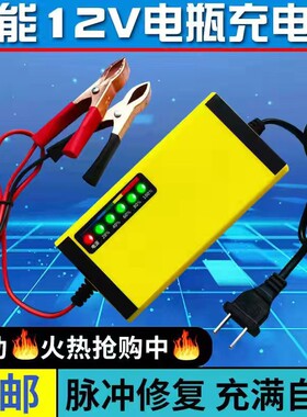 12V伏汽车小货车轿车摩托车电动车电瓶充电器水干蓄电池智能通用
