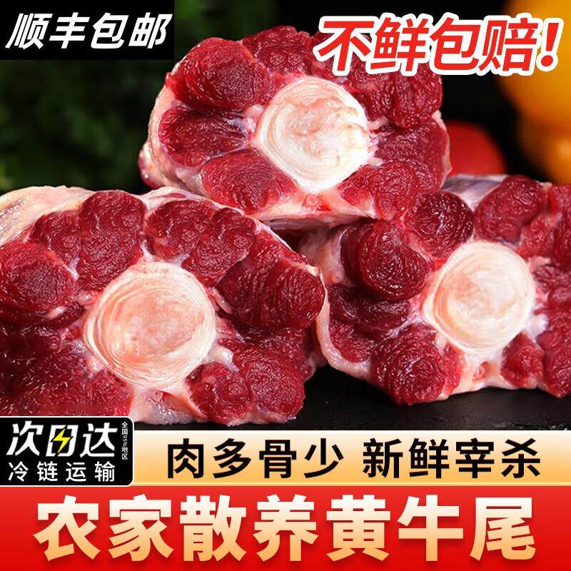正宗内蒙古牛尾新鲜整根原切带骨牛尾骨炖汤火锅食材商用批发价