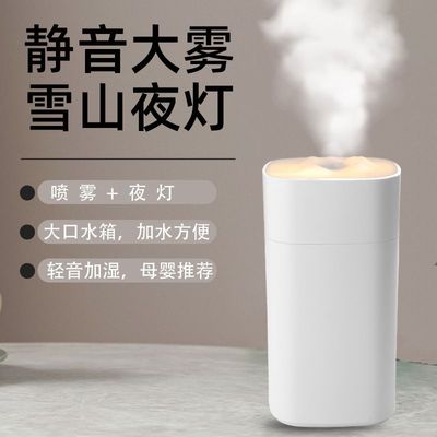 新品充电式加湿器车载香薰卧式创意办公室定制家用款迷你大喷雾U