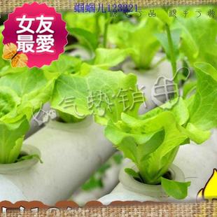 齐全三层无土栽培设备家庭阳台种菜水培M蔬菜水耕 新款 式 上新款