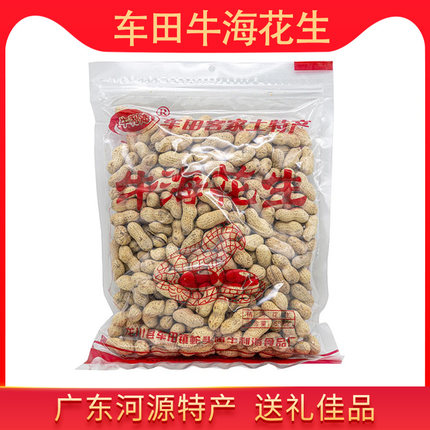 河源特产车田牛海花生脆香咸干下酒零食广东炒花生带壳原味炒货
