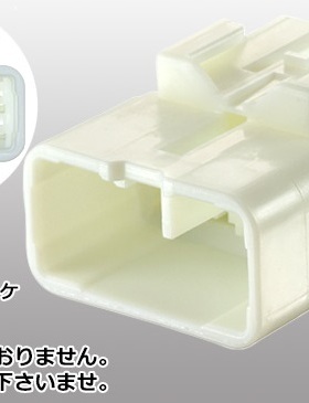 Tokai Rika 4G6020-0001 2.3(090) series II 10 way connector M