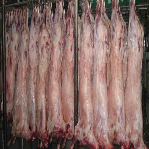 整只成年羊肉新鲜分割包装35斤重