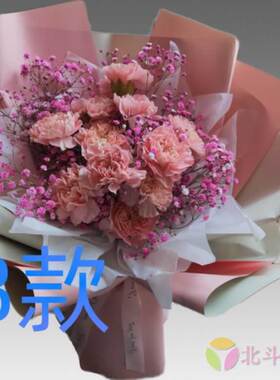 生日祝福慰问康乃馨天津花店送花武清区宝坻区宁河县同城鲜花速递