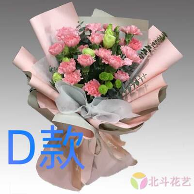 生日康乃馨宁夏吴忠花店送花红寺堡盐池同心县青铜峡同城鲜花快递