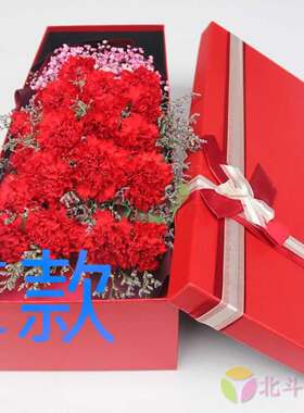 生日祝寿康乃馨浙江宁波花店送花江北区北仑区镇海区同城鲜花速递