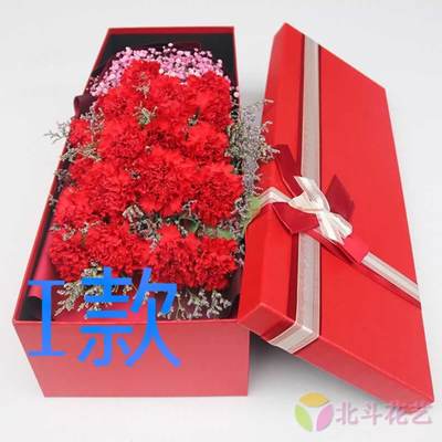 生日探望康乃馨广西来宾花店送花象州县武宣县金秀县同城鲜花快递