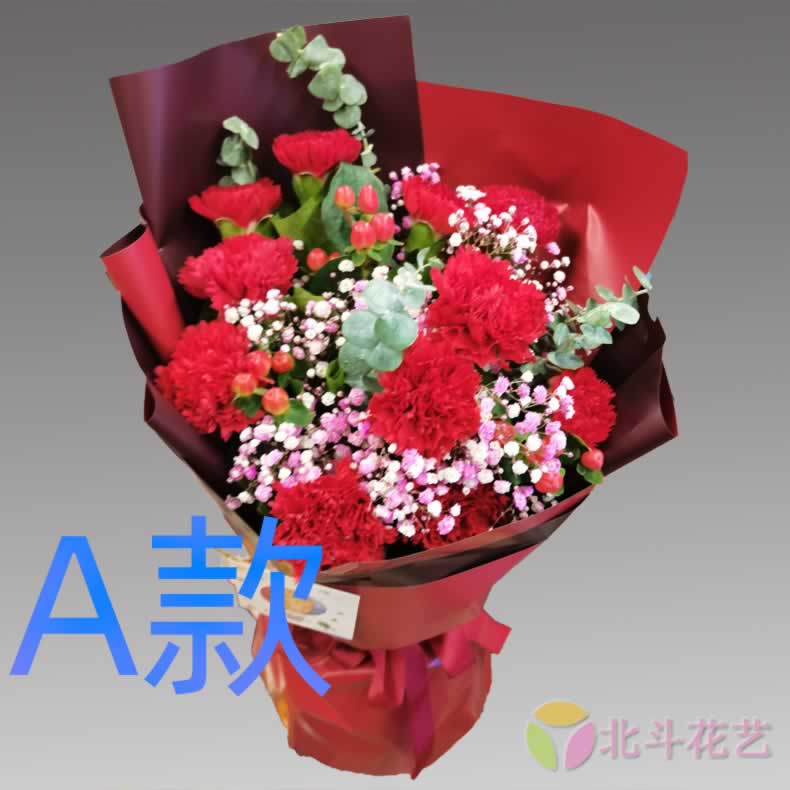 生日祝寿康乃馨安徽合肥花店送花东市区中市区西市区同城鲜花快递