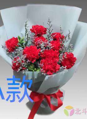 生日祝福贺寿康乃馨北京花店送花崇文区宣武区朝阳区同城鲜花快递
