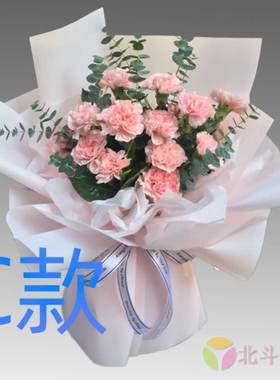 生日探望康乃馨河南郑州花店送花金水区上街区邙山区同城鲜花速递