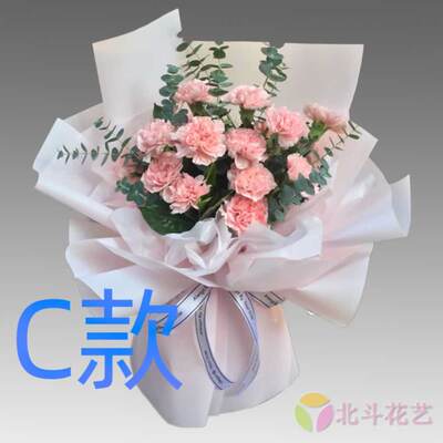 生日康乃馨内蒙古通辽花店送花奈曼旗扎鲁特旗科尔沁同城鲜花快递