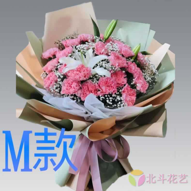 生日慰问康乃馨新疆哈密花店送花精河县博乐市石河子同城鲜花速递
